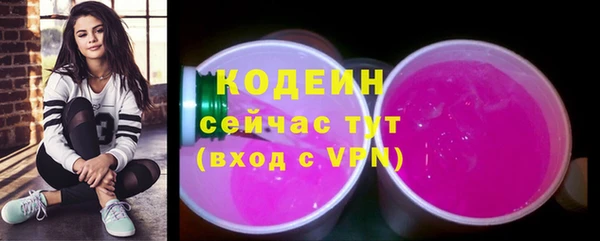 хмурый Богородск