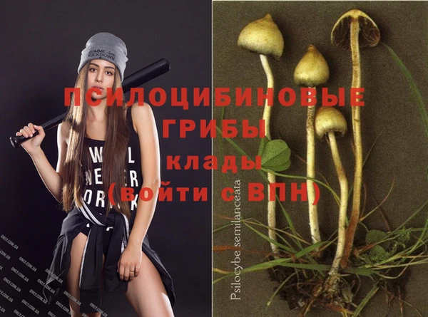 не бодяженный Богданович