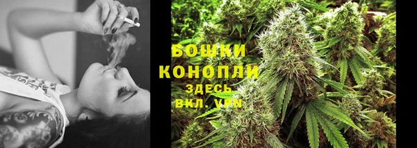 хмурый Богородск
