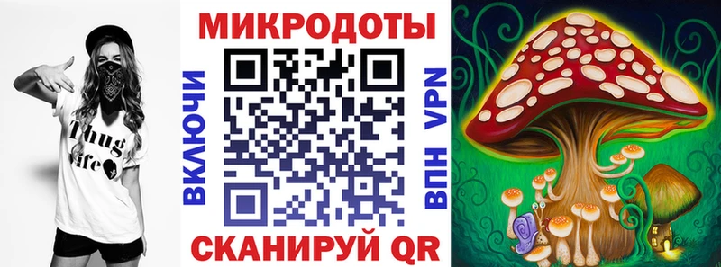 Галлюциногенные грибы прущие грибы  Купить закладки  Магадан 